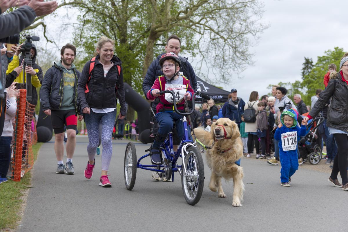 Why do Special Needs trikes cost so much money?
