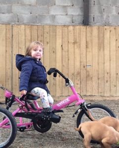 A young girl on a pink trike in front of a wooden fence.