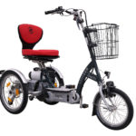 A Van Raam Easy Go Scooter bike on a white background. The bike has three wheels, enclosed chain drive, and a basket on the front.